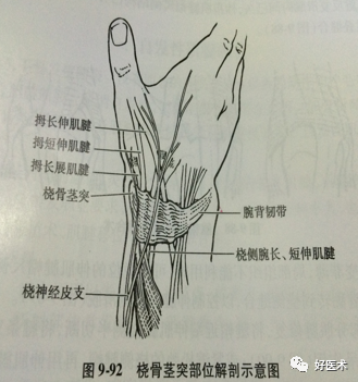 拇长展肌腱沟凹陷图片